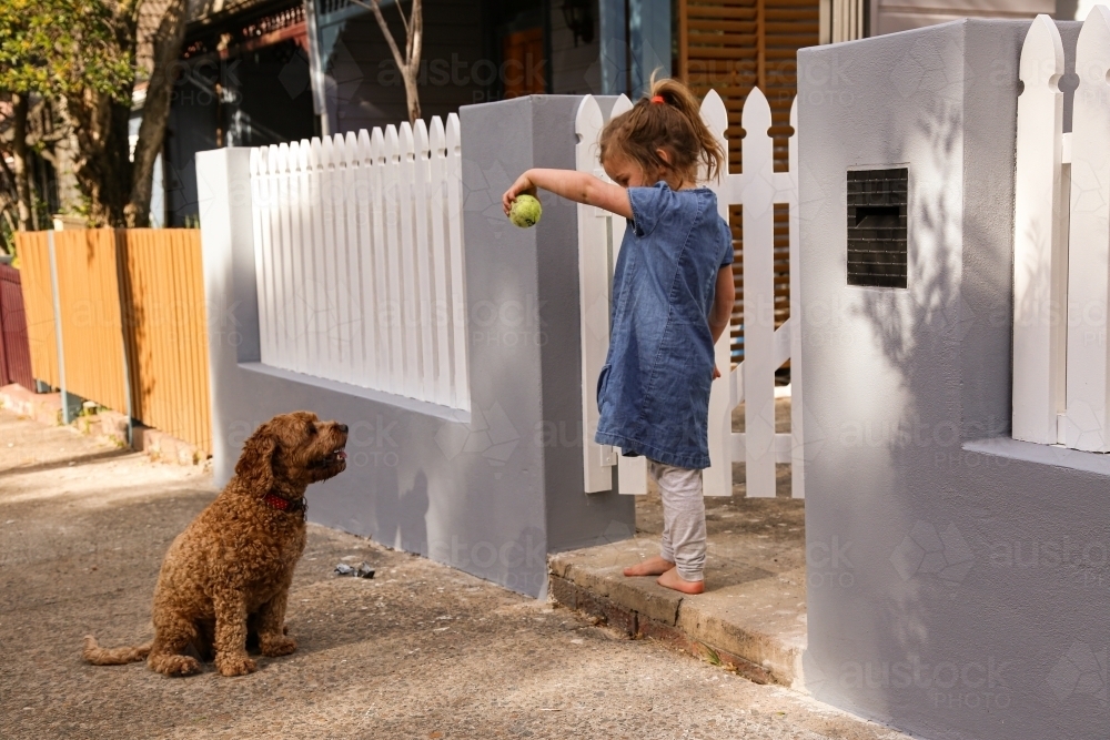Girl wearing blue dress and grey pants, barefoot playing with brown poodle with a ball - Australian Stock Image