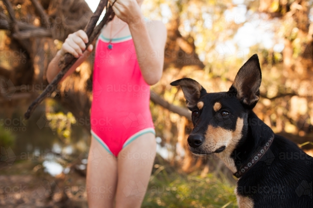 Girl with a pink swimsuit standing with a black and tan dog - Australian Stock Image