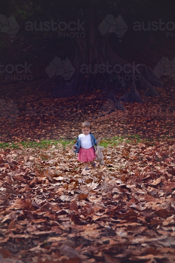 Girl With Toy Rabbit Walking in Autumn Leaves - Australian Stock Image
