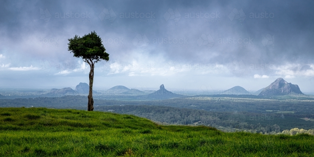Glasshouse Mountains from One Tree Hill - Australian Stock Image