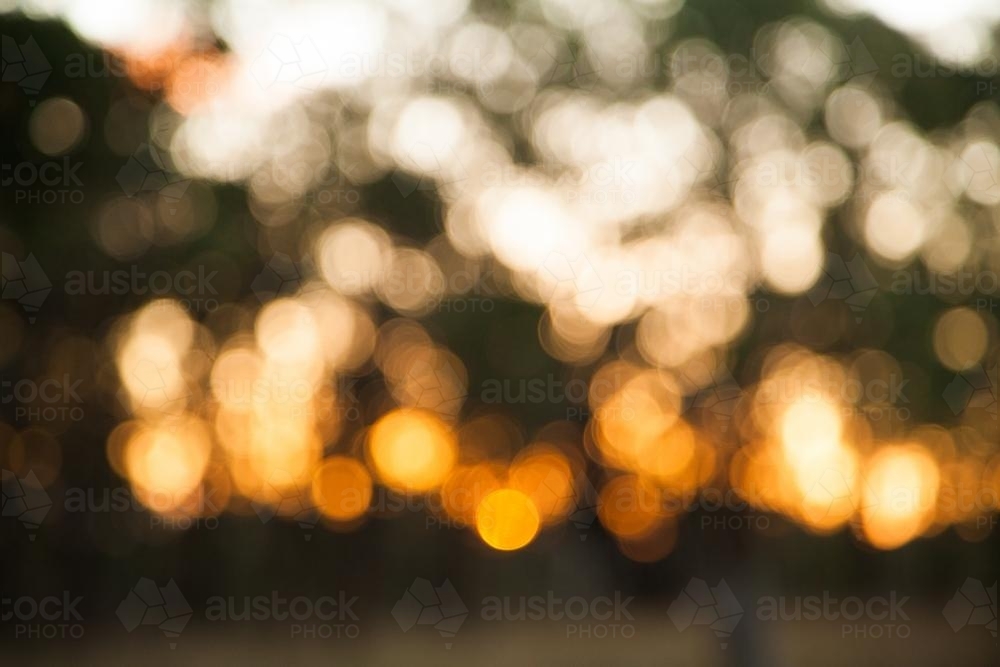 Gold green and white bokeh of a forest at sunset - Australian Stock Image