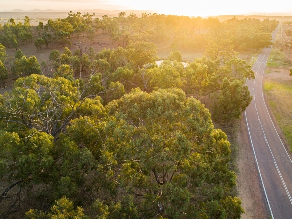 Gold light shining over trees and rural country road - Australian Stock Image