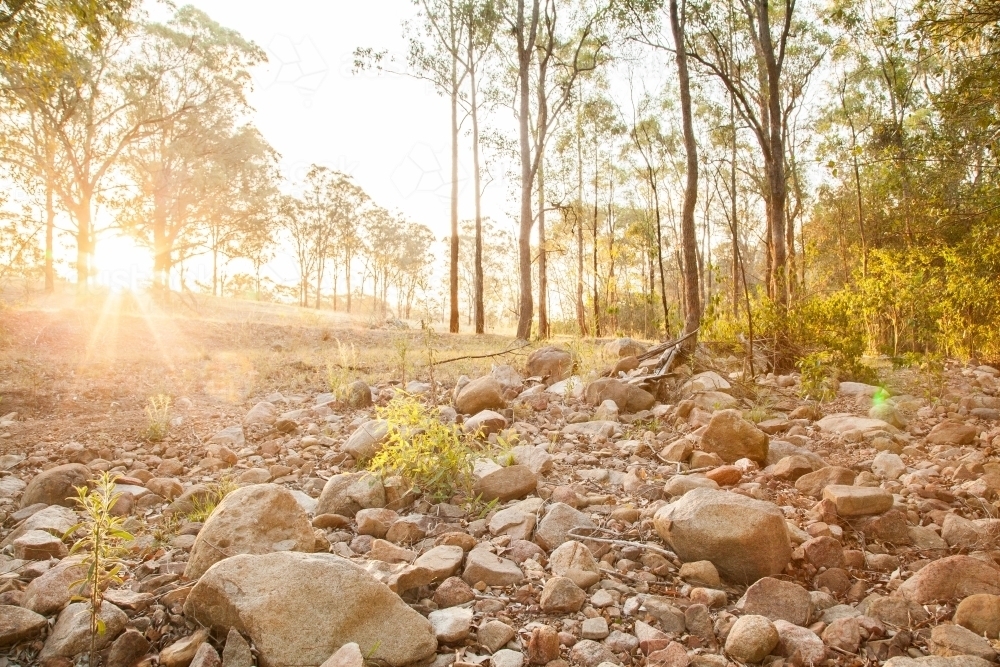 Gold sunlight shining over dry creek bed - Australian Stock Image