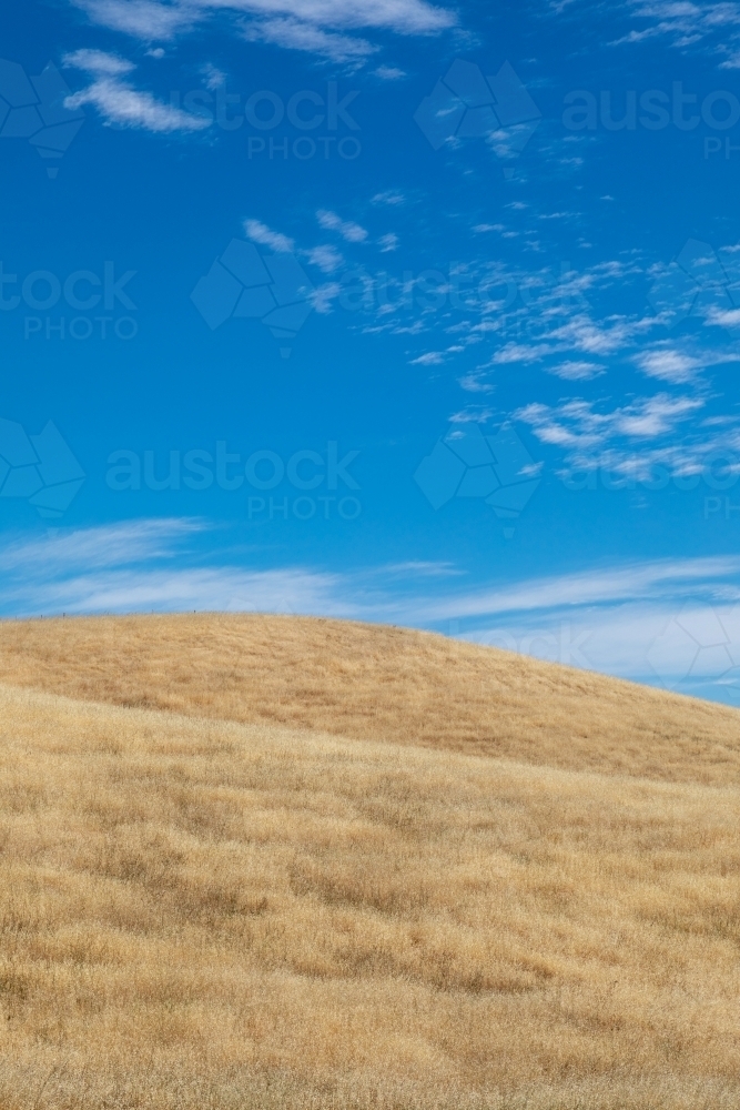 golden hills against blue sky - Australian Stock Image