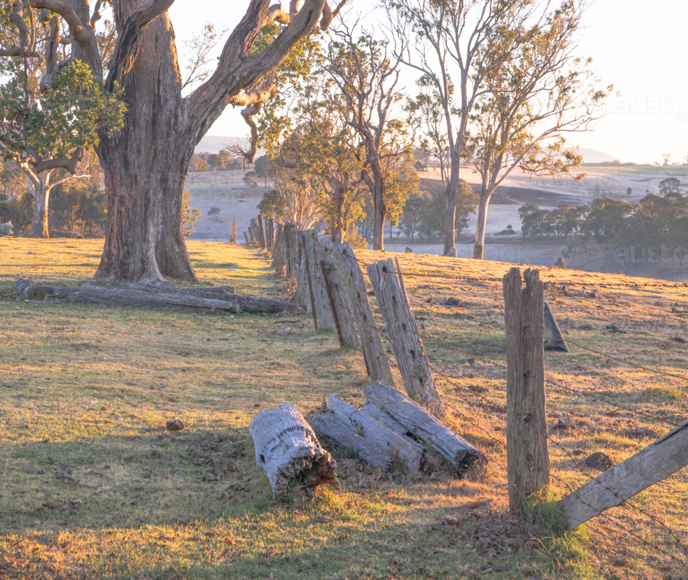 Golden hour and a broken fence - Australian Stock Image