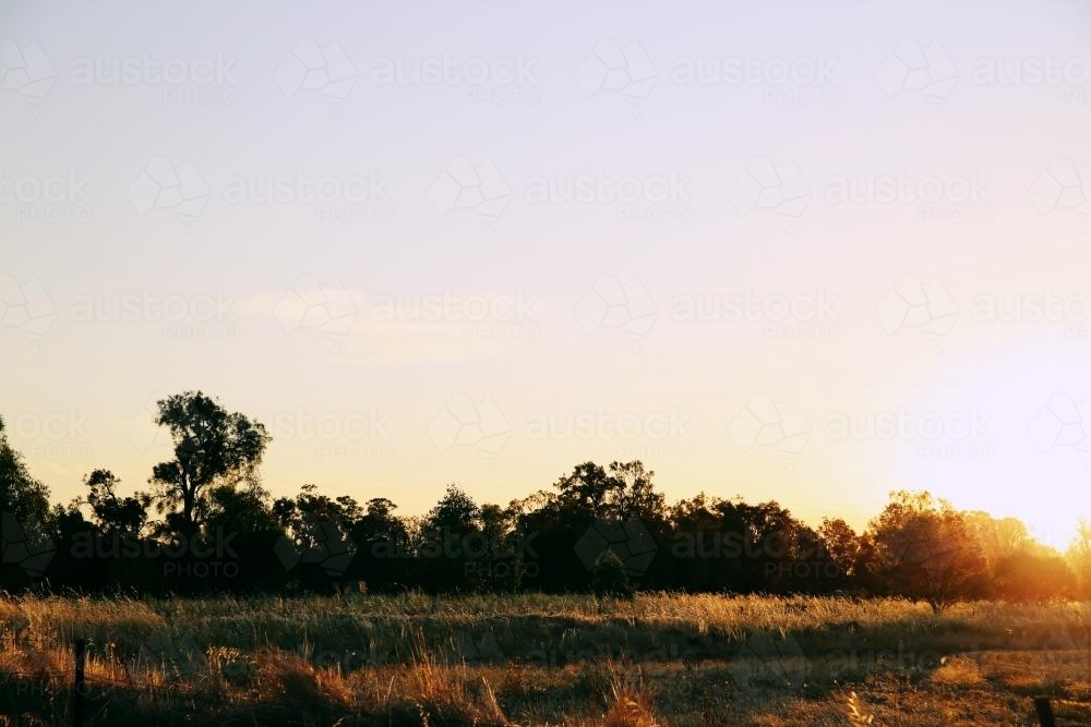 Golden Hour Countryside - Australian Stock Image