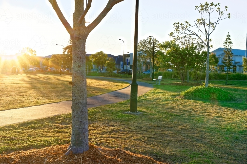 Golden hour sunset at park with sunflare and path - Australian Stock Image