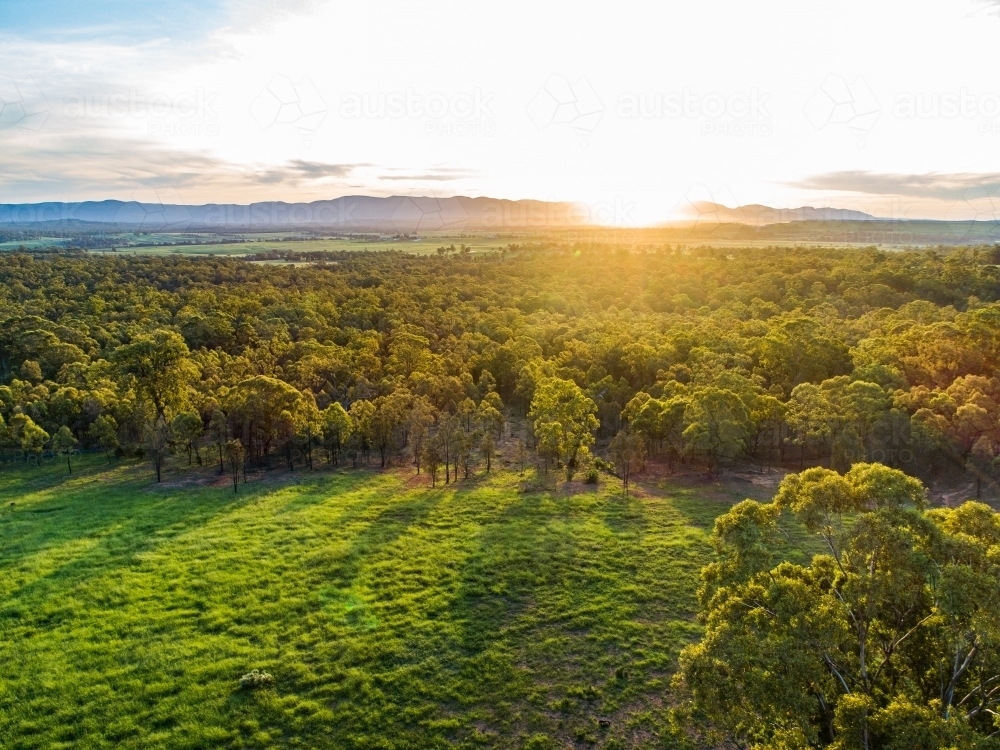Golden light flare of sunset over green paddock and gum tree bushland landscape - Australian Stock Image