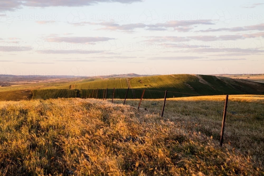 golden light on farmland and hills - Australian Stock Image