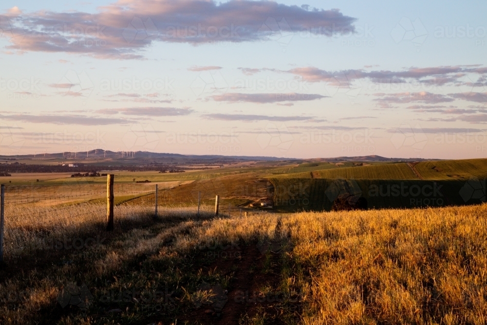 golden light on farmland and hills - Australian Stock Image