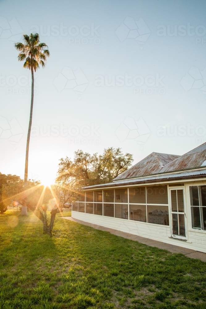 Golden light shining over rural homestead and palm tree - Australian Stock Image