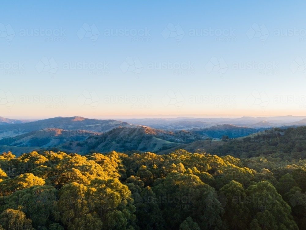 Golden light touching treetops with valley and hills behind - Australian Stock Image