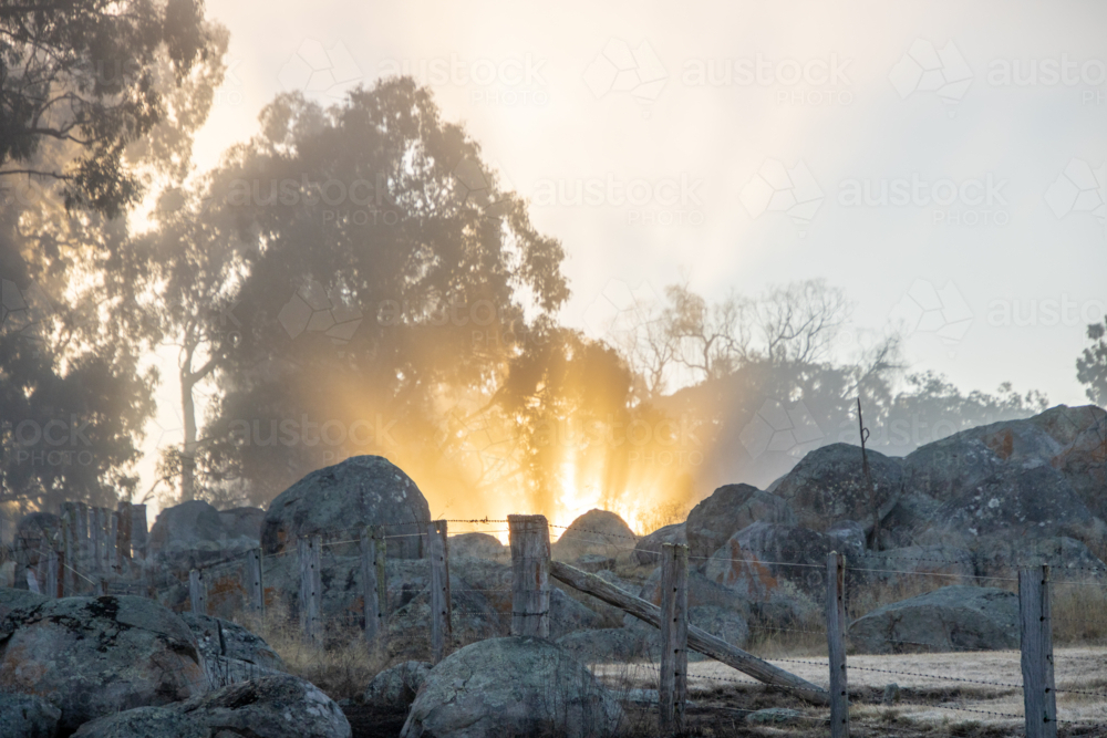 Golden rays of dawn on a misty morning - Australian Stock Image