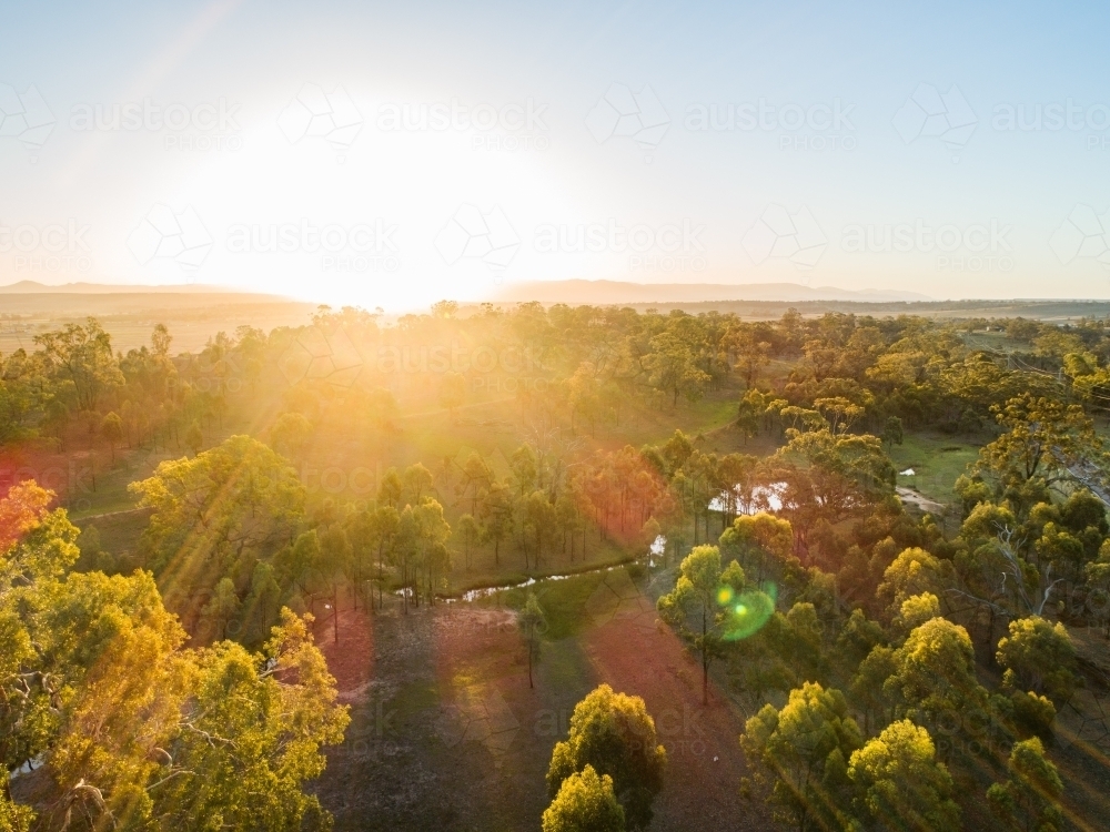 Golden sun flare over paddock landscape of gum trees - Australian Stock Image