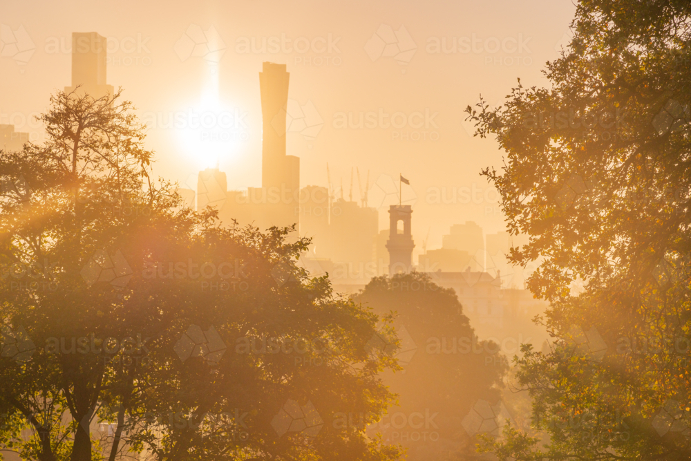 Golden sunset light through fog around city skyscapers and parkland trees - Australian Stock Image
