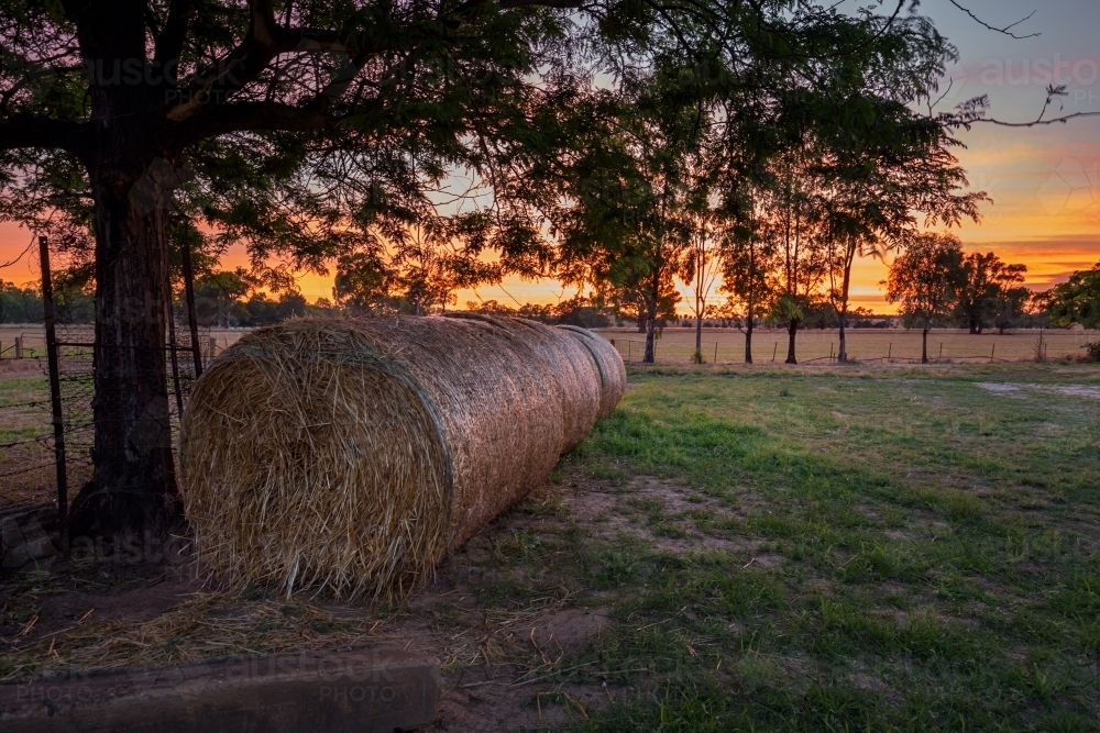 Golden yellow sunrise behind rolls of straw on a farm - Australian Stock Image