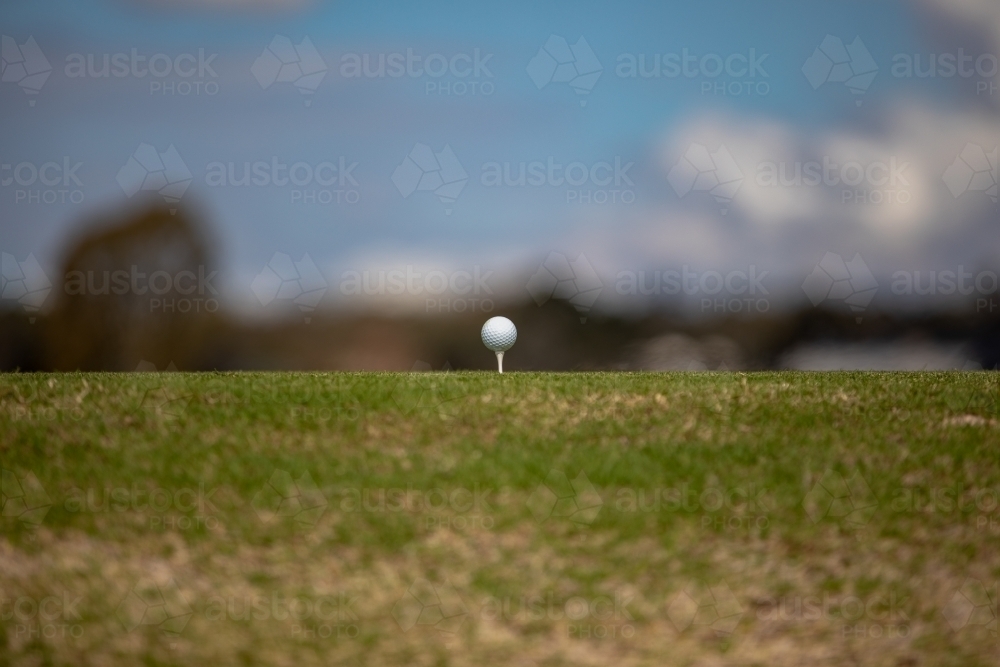 Golf Ball on Tee - Australian Stock Image