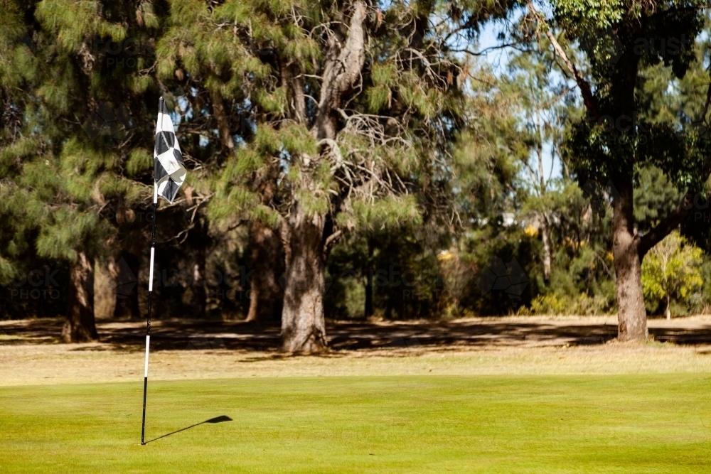 Golf flag in hole on golfing green - Australian Stock Image
