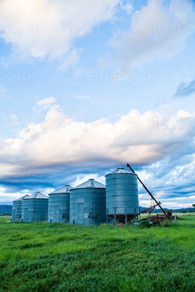 Good times on a farm with green grass and grain silos - Australian Stock Image