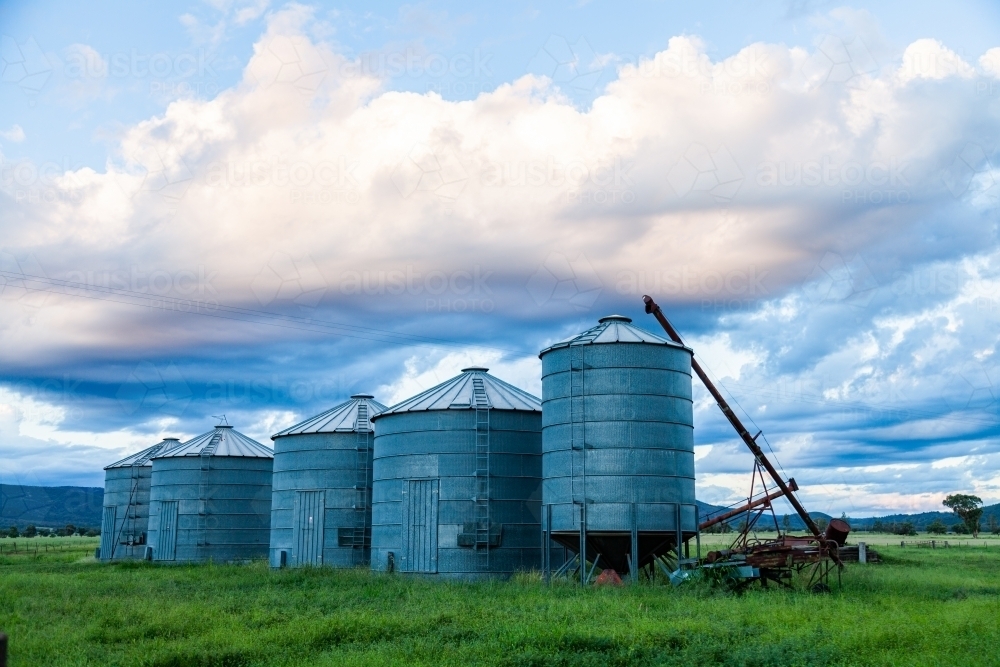 Good times on a farm with green grass and grain silos - Australian Stock Image