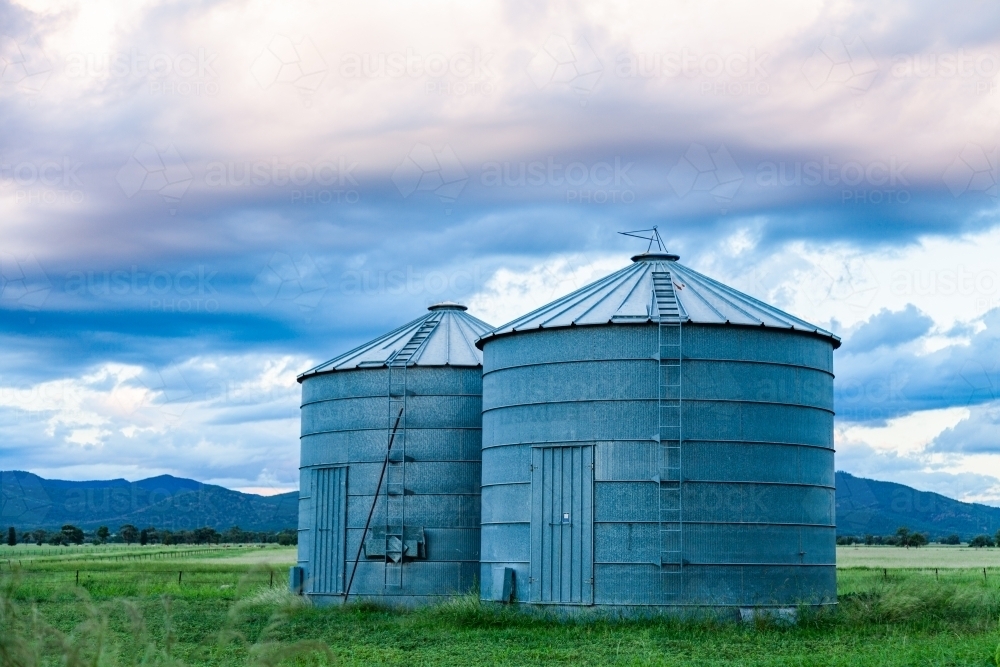 Good times on a farm with green grass and grain silos - Australian Stock Image