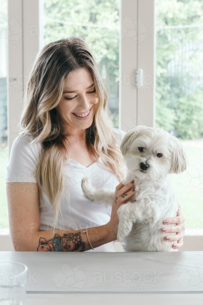 Gorgeous white puppy dog sitting on the lap of a young woman - Australian Stock Image