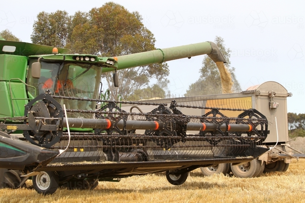 Grain being harvested on farm - Australian Stock Image