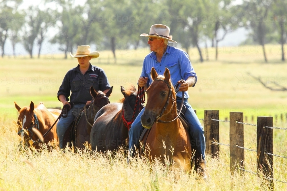 Grandfather and grandson on horseback with extra horses. - Australian Stock Image