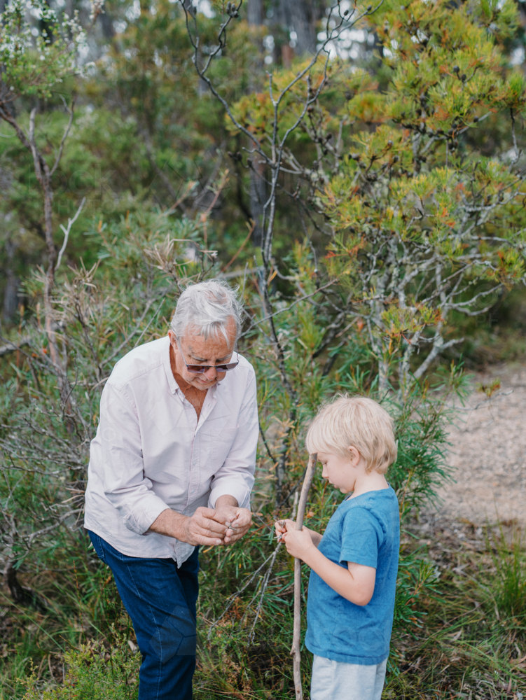 Grandfather exploring Australian Bushland with grandson - Australian Stock Image