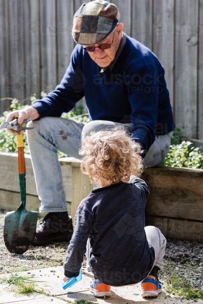 Grandfather "Pop" and grandchild weeding and working in the backyard vegetable garden on a sunny day - Australian Stock Image