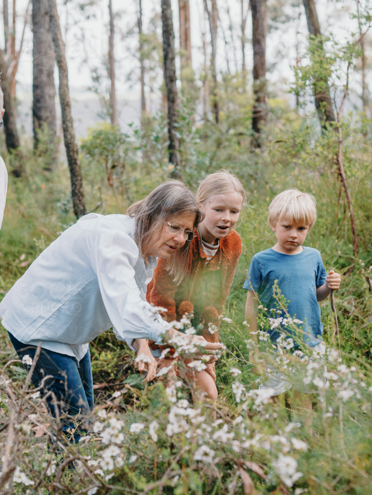 Grandmother enjoying Australian Bushland with her Grandchildren - Australian Stock Image
