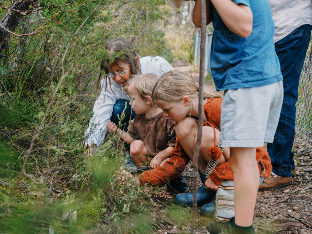 Grandmother enjoying Australian Bushland with her Grandchildren - Australian Stock Image