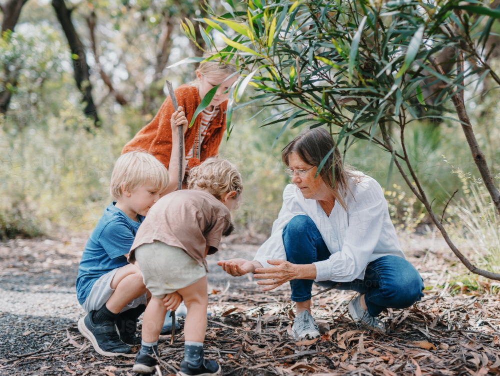 Grandmother enjoying Australian Bushland with her Grandchildren picking up a cicada bug - Australian Stock Image