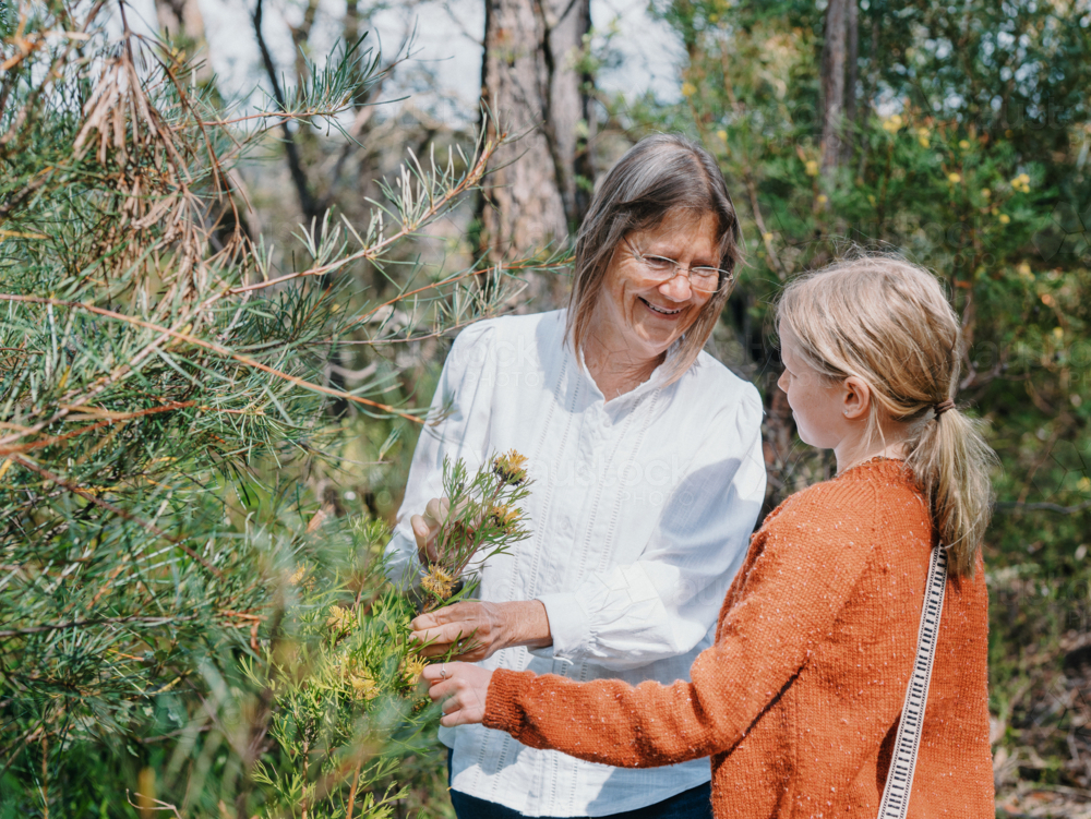 Grandmother showing young granddaughter Australian Natives - Australian Stock Image
