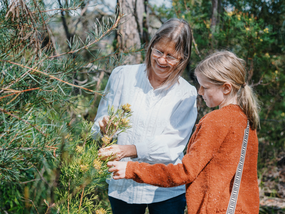 Grandmother showing young granddaughter Australian Natives - Australian Stock Image