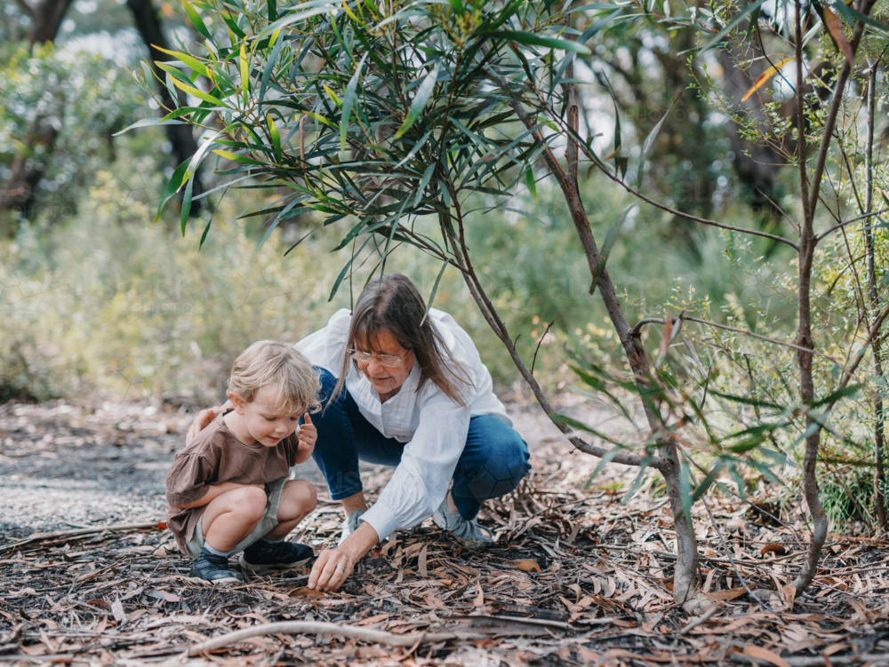 Grandmother spending time with grandson in nature looking through leaf litter for bugs - Australian Stock Image