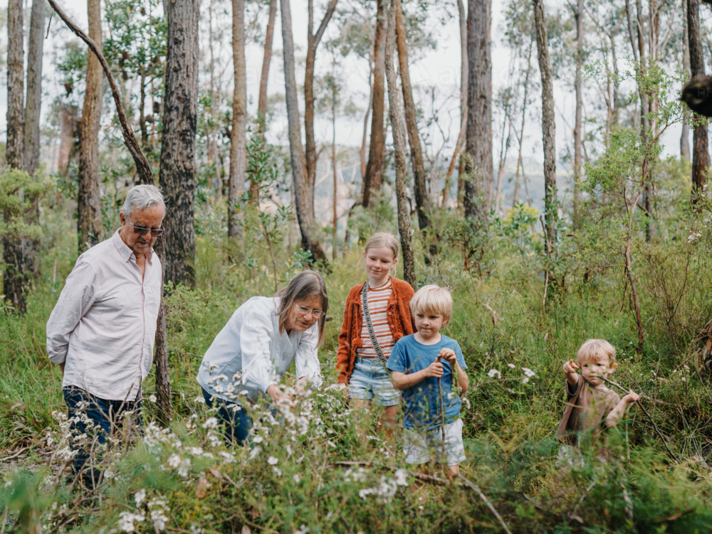 Grandparents enjoying Australian Bushland with their Grandchildren - Australian Stock Image