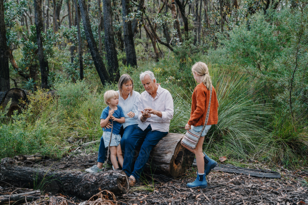 Grandparents enjoying Australian Bushland with their Grandchildren - Australian Stock Image