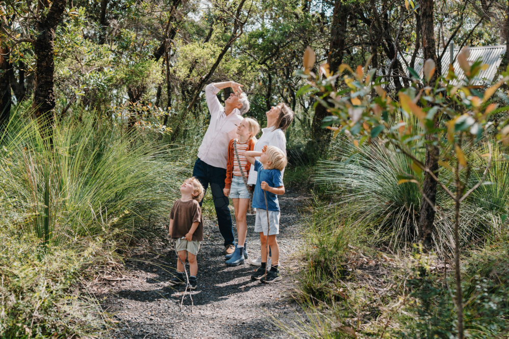 Grandparents enjoying Australian Bushland with their Grandchildren looking upwards together - Australian Stock Image