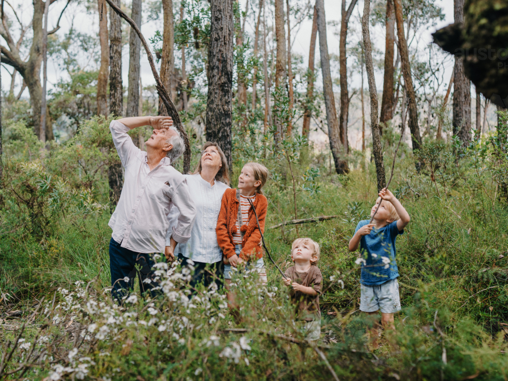 Grandparents enjoying Australian Bushland with their Grandchildren playing with sticks - Australian Stock Image