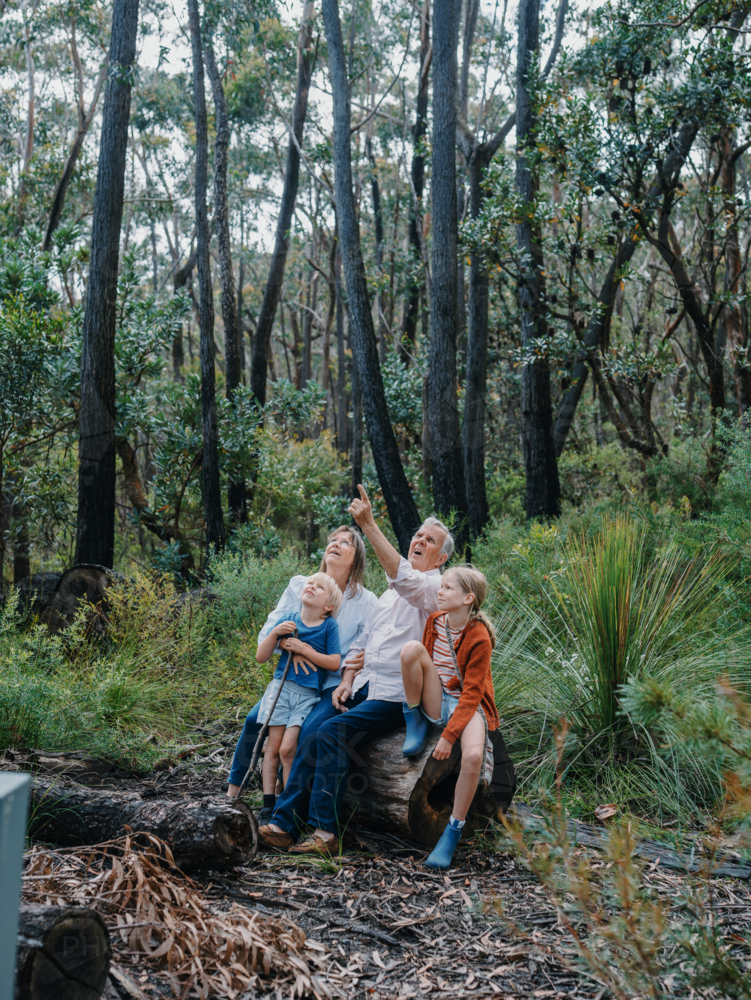 Grandparents enjoying Australian Bushland with their Grandchildren pointing up - Australian Stock Image