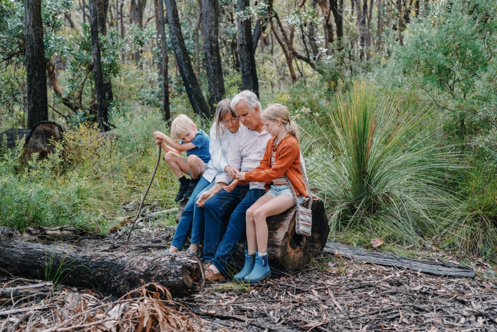 Grandparents enjoying Australian Bushland with their Grandchildren sitting on a log - Australian Stock Image