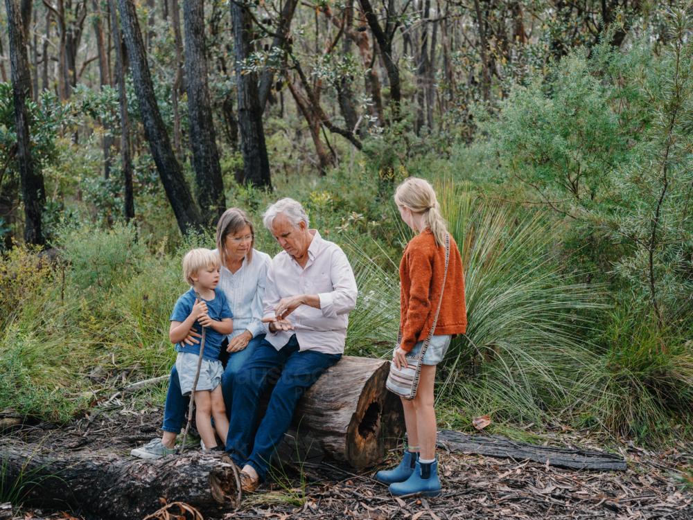 Grandparents enjoying Australian Bushland with their Grandchildren sitting on a log - Australian Stock Image