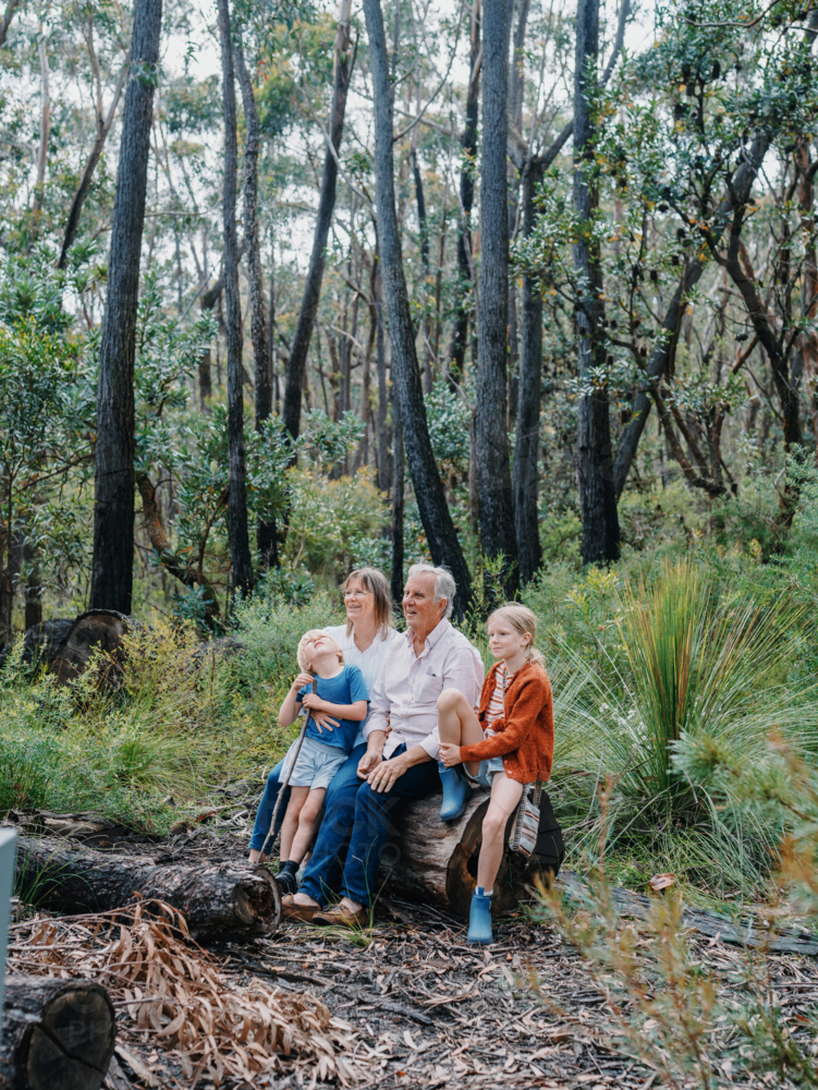 Grandparents enjoying Australian Bushland with their Grandchildren sitting on log together - Australian Stock Image
