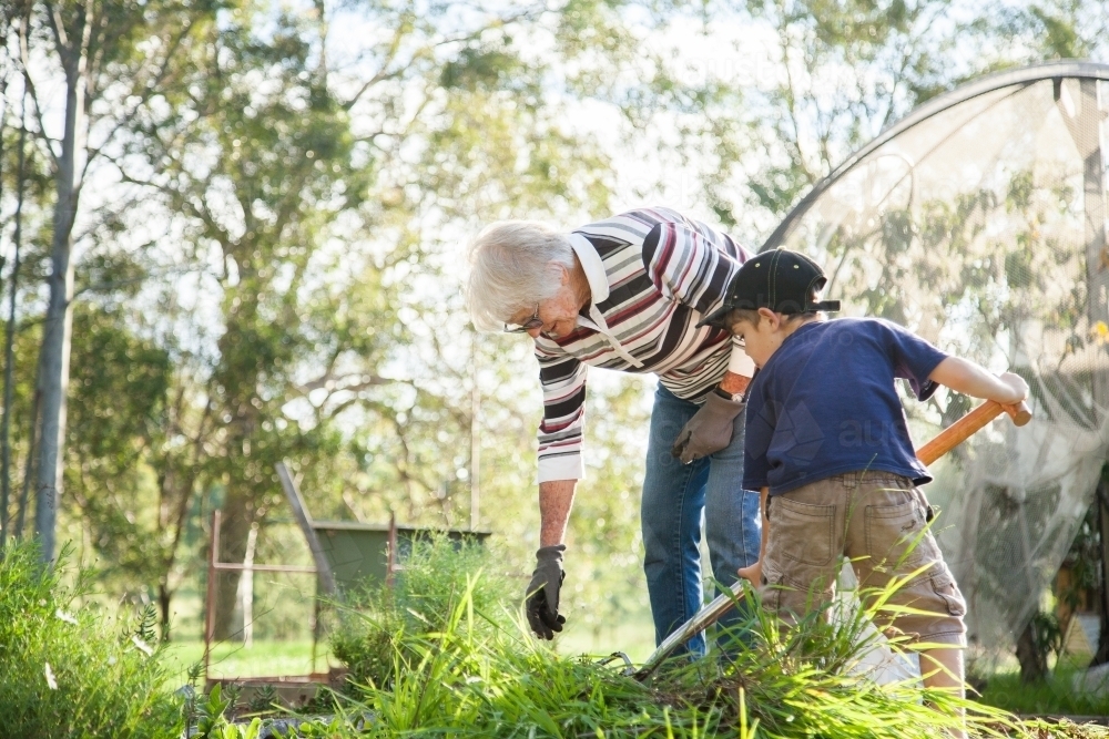 Grandson and granny weeding the vegetable garden in the backyard - Australian Stock Image