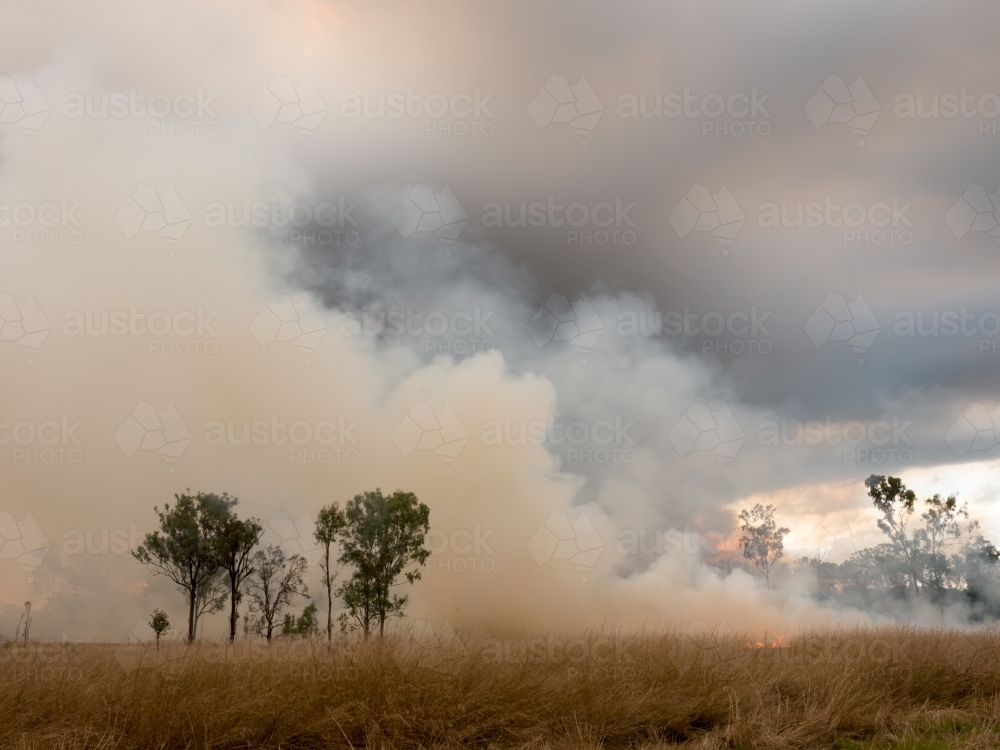 Grass fire with billowing layers of smoke - Australian Stock Image