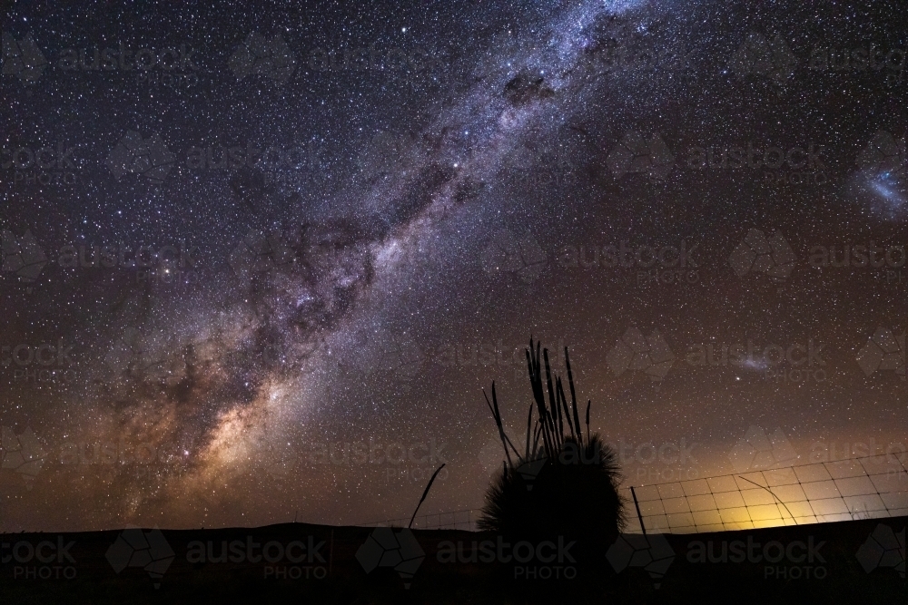 grass tree silhouetted against milky way - Australian Stock Image