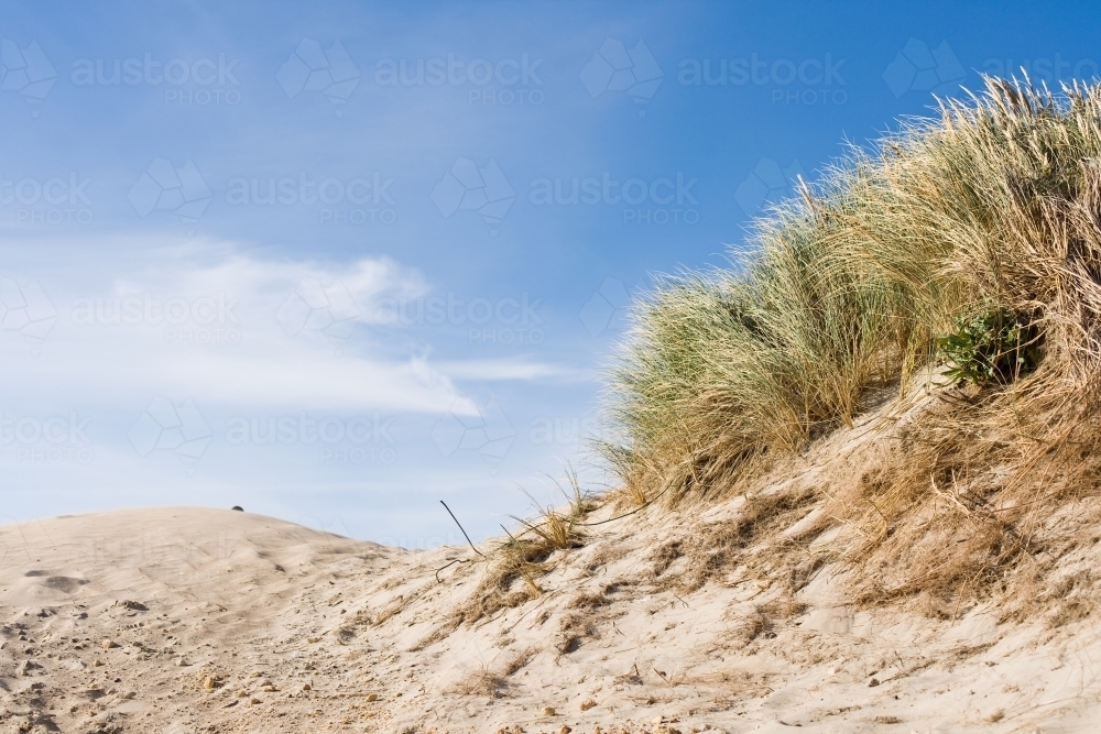 grasses and sand dunes at coastal location - Australian Stock Image