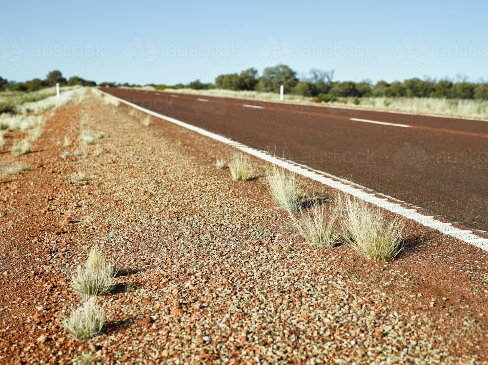 Grasses on side of brown bitumen highway in outback - Australian Stock Image