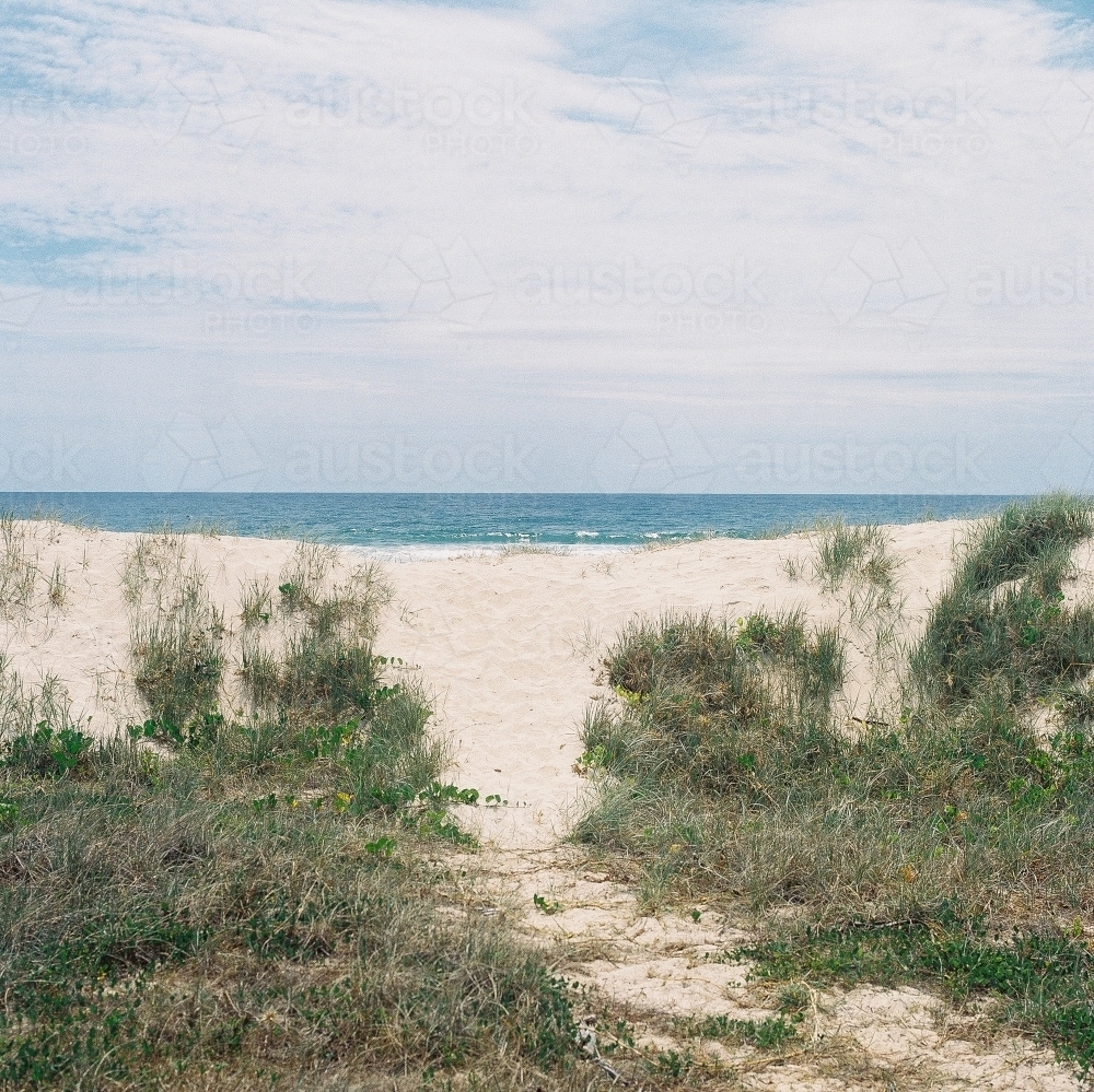 Grassy Beach Hill - Australian Stock Image